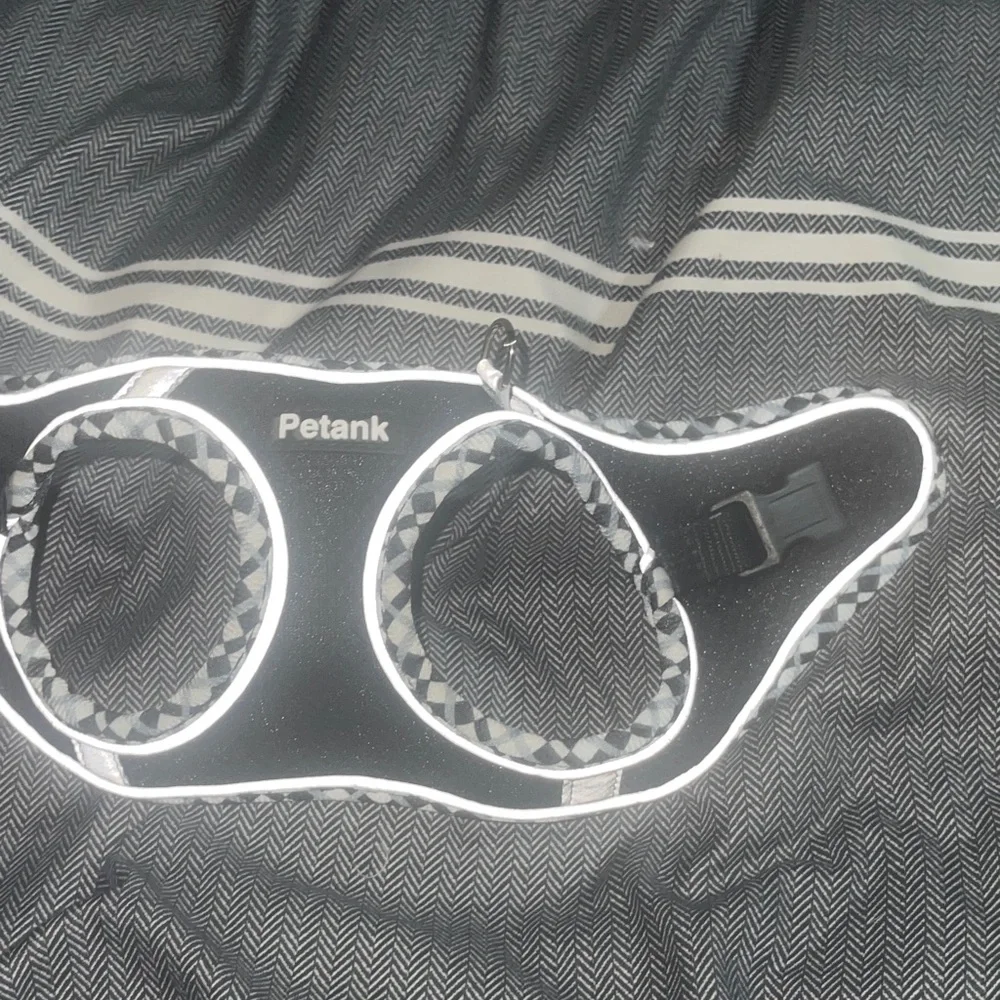 Chic Black and White Cat Harness and Leash Set